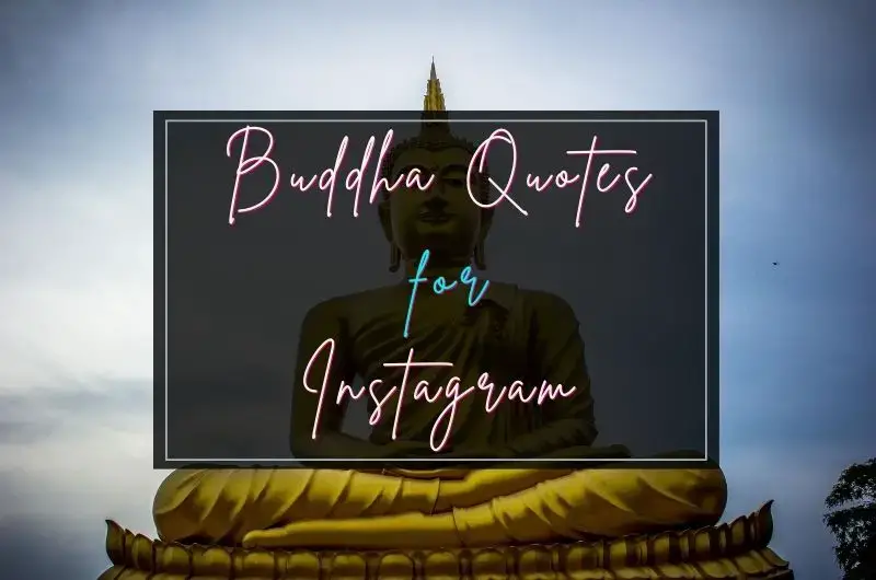 Inspiring Buddha Quotes