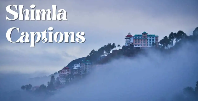 Shimla Quotes